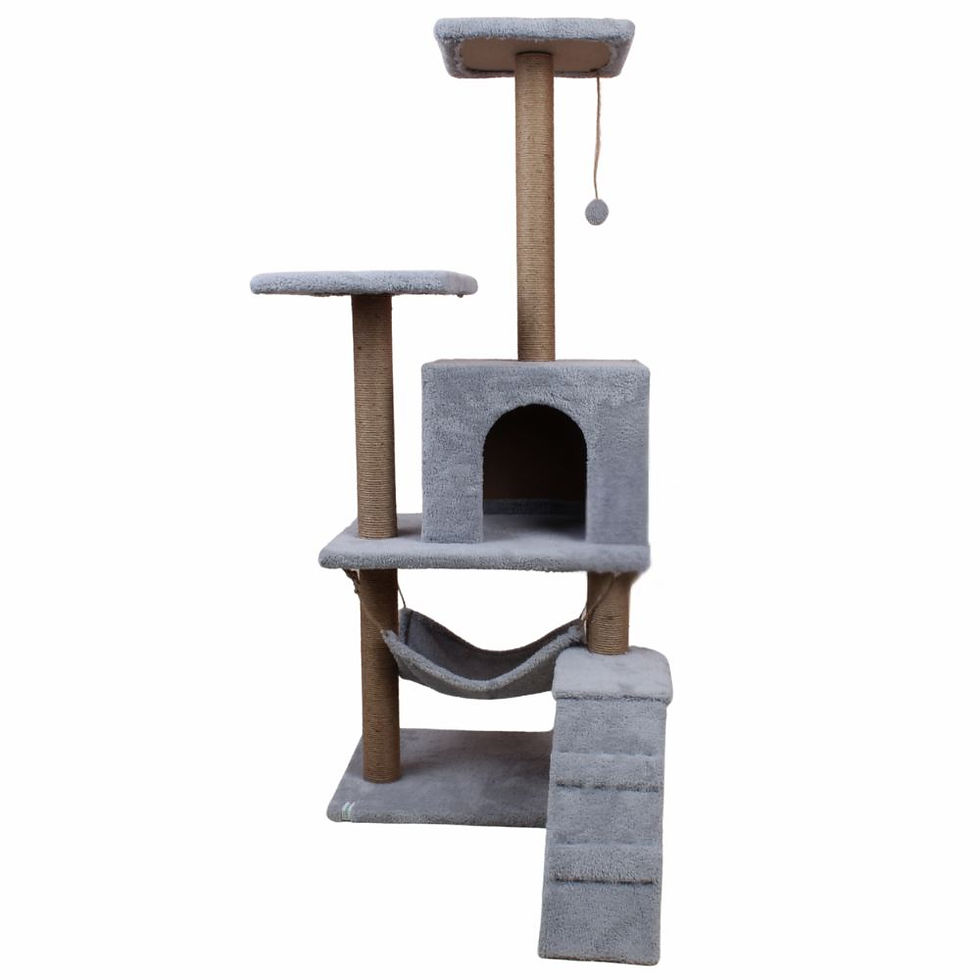 Thumbnail: Midas - Grey