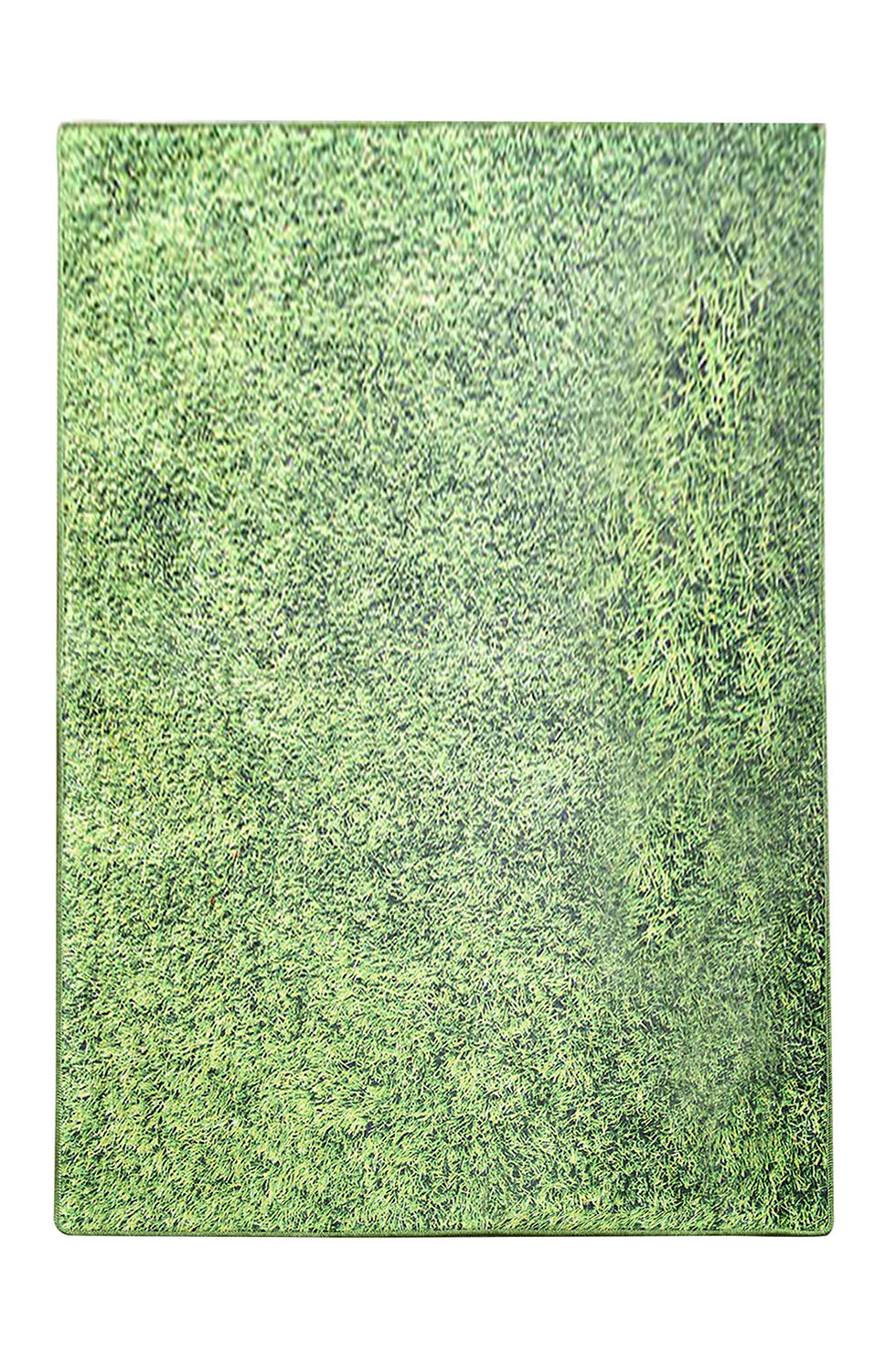 Thumbnail: Grass