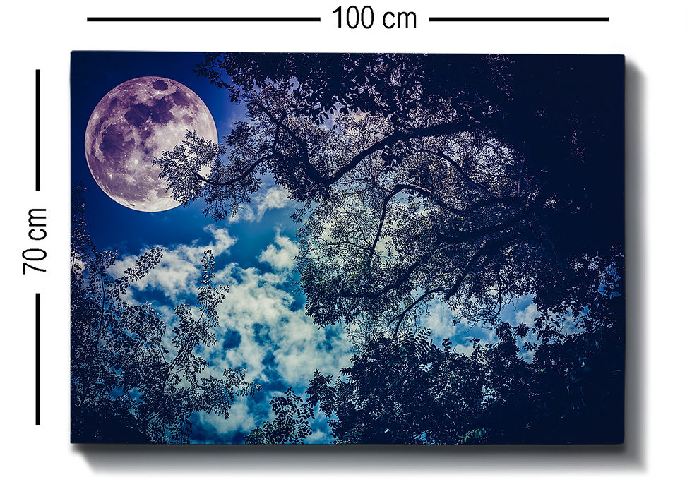 Thumbnail: Kanvas Tablo (70 x 100) - 159