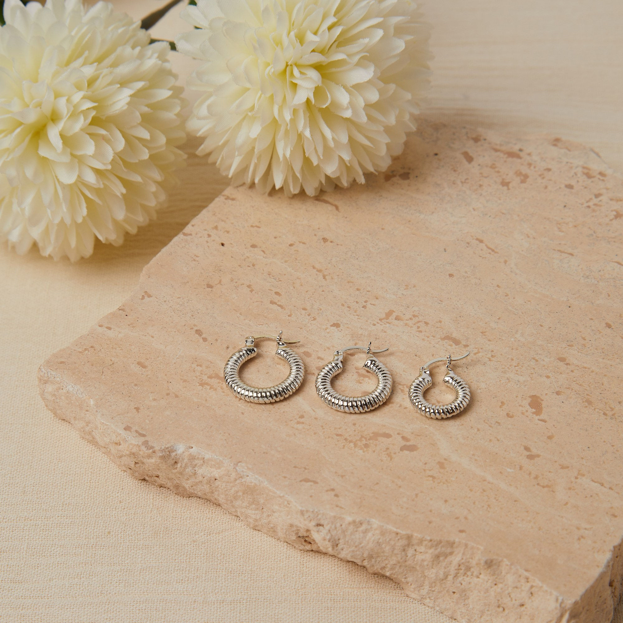 LustreGuard Silver Halo Earrings