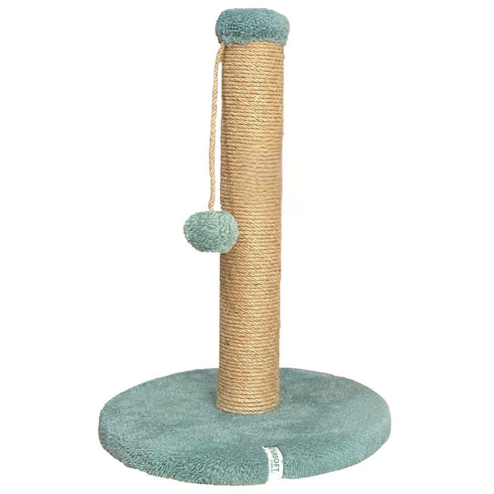 Thumbnail: Coris - Turquoise