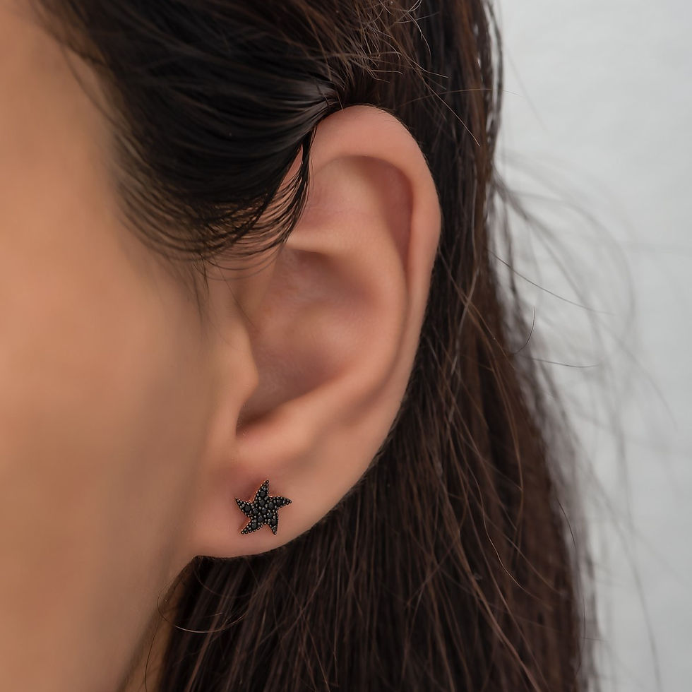 Thumbnail: LunaLuxe Black Silver Studs