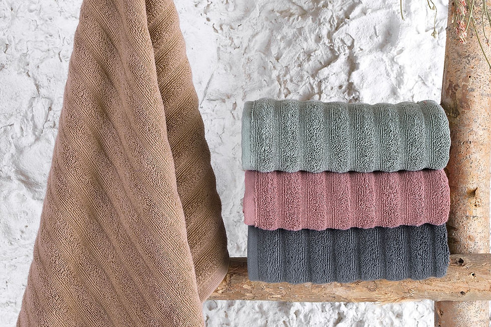 Thumbnail: Regina 50