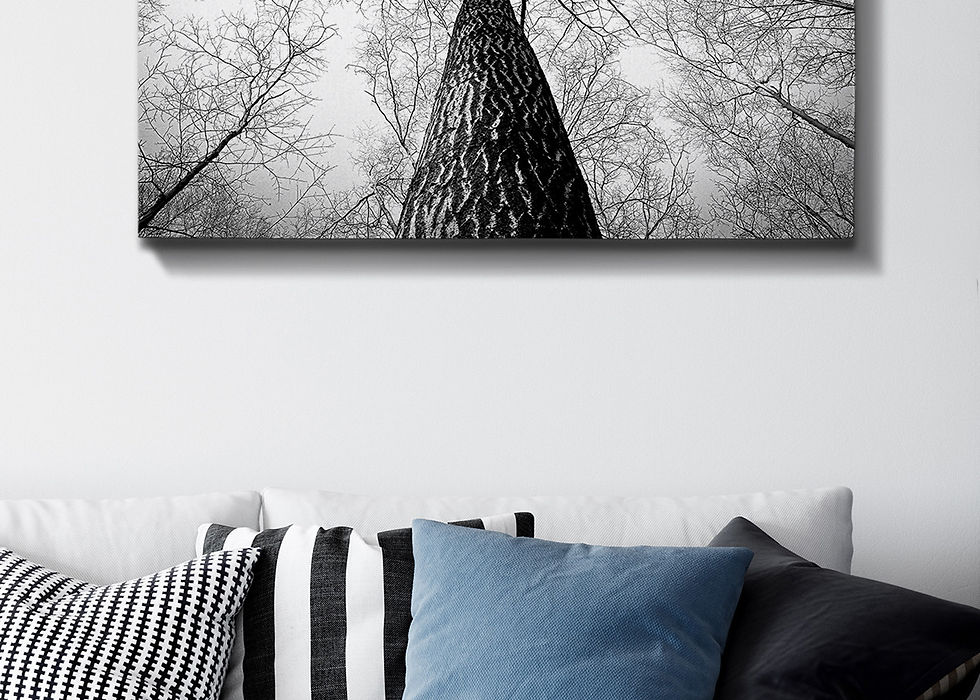 Kanvas Tablo (70 x 100) - 112