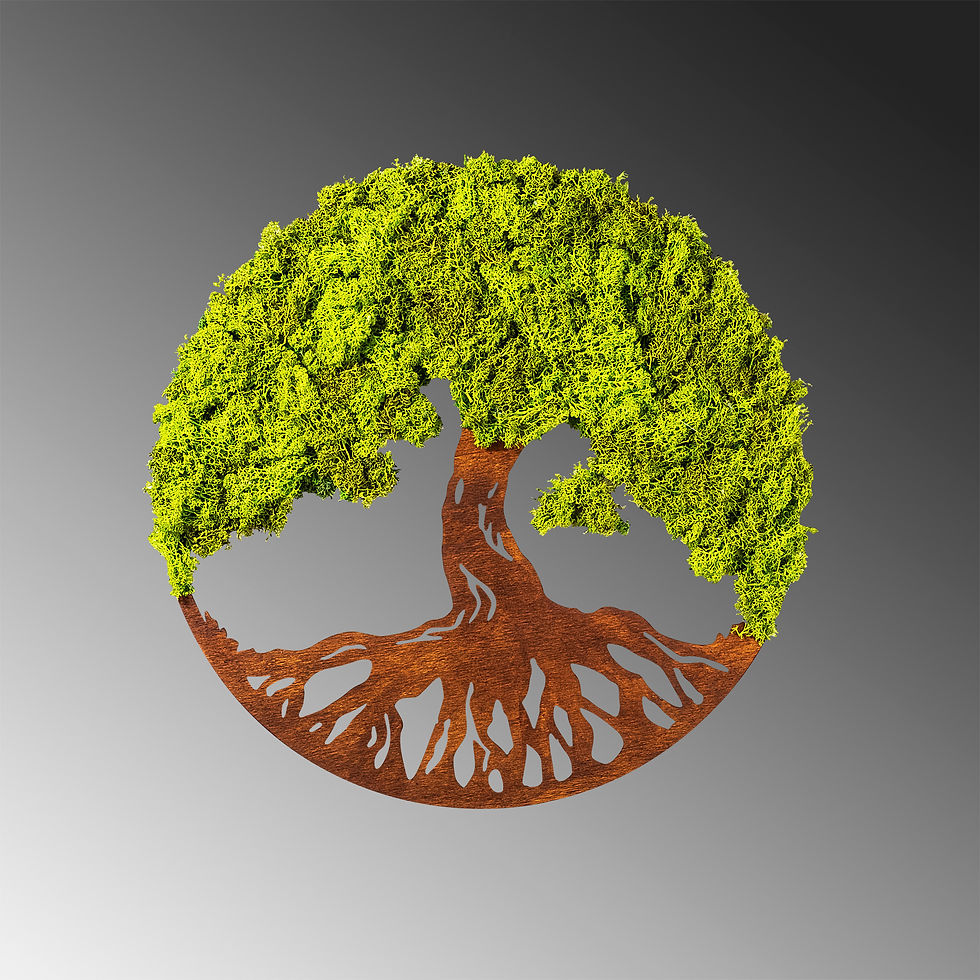 Thumbnail: Tree Of Life 3