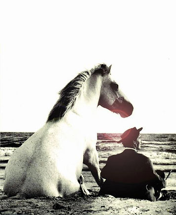 CHEVAL ASSIS HOMME.jpg
