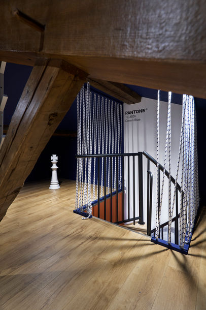 54193213615_e907cca084_k