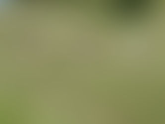 Ponytage für Kinder bis 10 Jahren