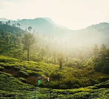 Trekking in Wayanad_5851.webp