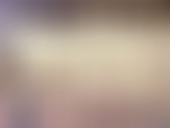 Alle Teilnehmer bestehen ihre Gürtelprüfungen mit Bravour