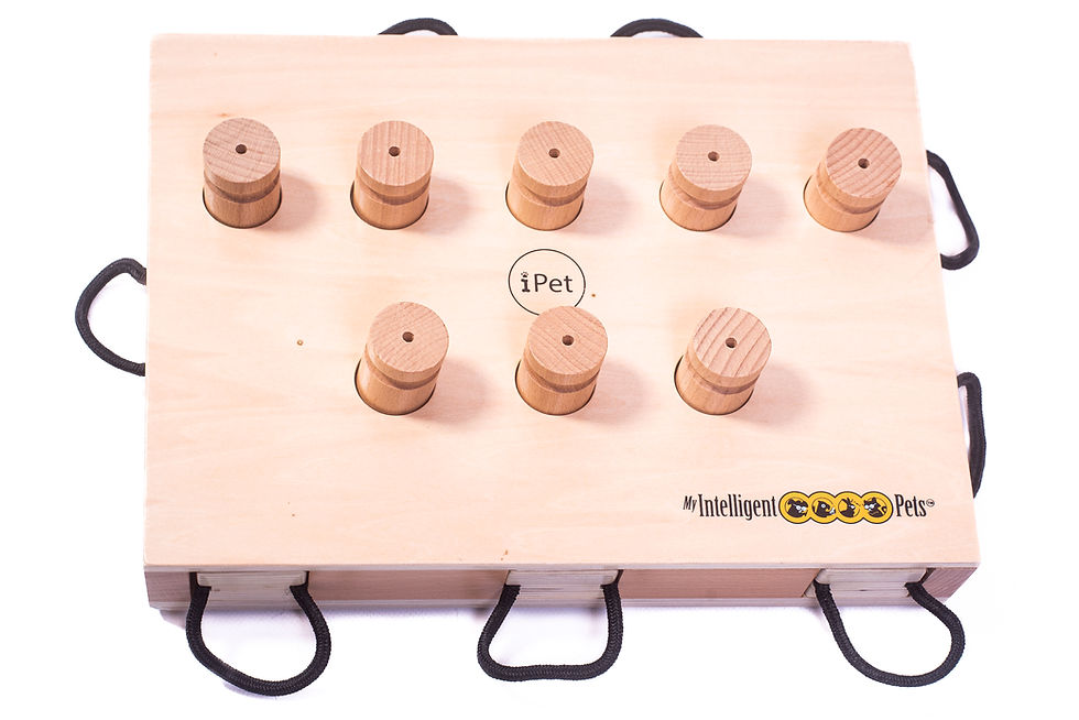 Miniatyrbilde: iPet - Smart Dog Laptop
