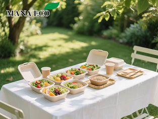 Food packaging Solutions — Delivered Directly to Your U.S. Warehouse