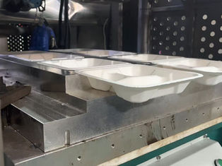 Molded Fiber Packaging Market Is Growing Rapidly