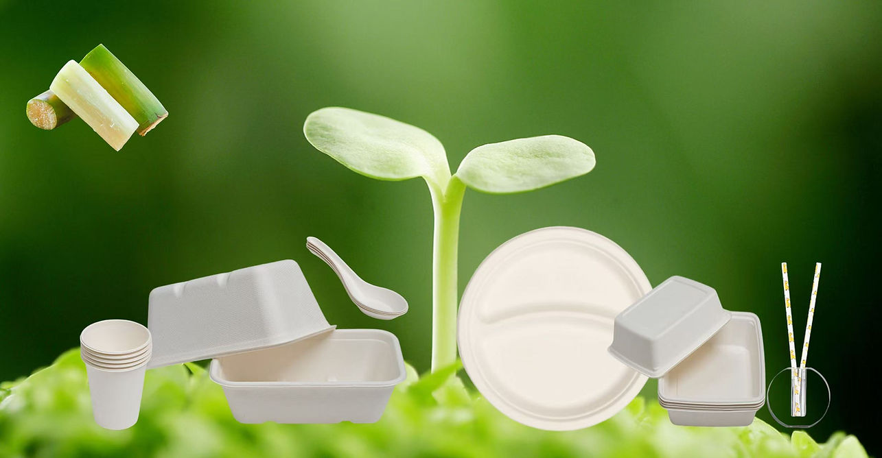 Biodegradable Tableware & Eco-Friendly Food Packaging - MANA ECO.jpg