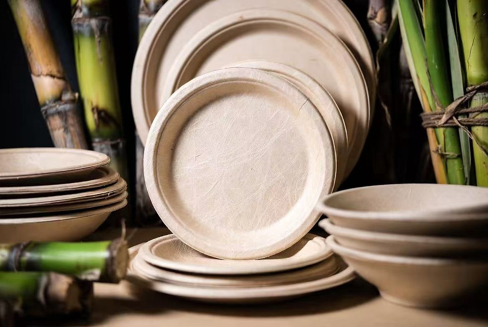 compostable food packaging made from sugarcane fiber