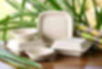 Bagasse cups