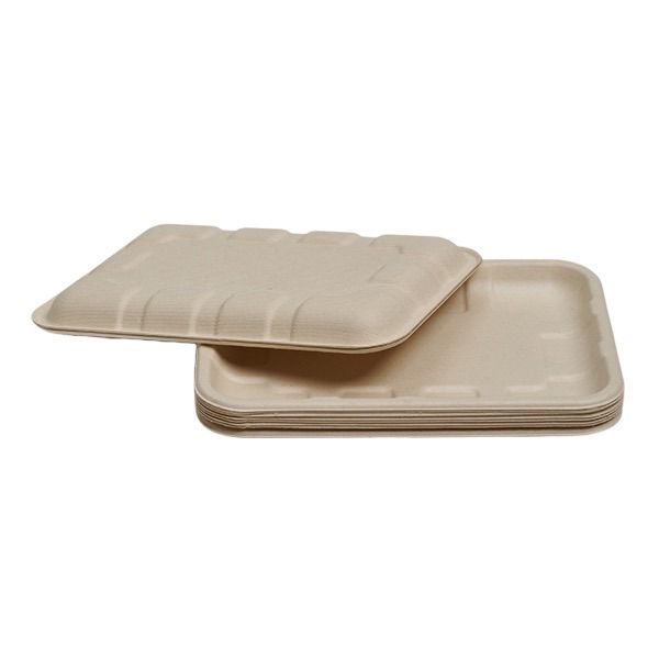 Miniatura: TR2S bagasse tray eco takeaway tray