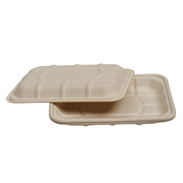 الصورة المصغرة: TR2D Bagasse Tray dessert trays