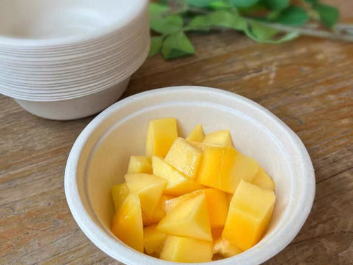 Bagasse: An Eco-Friendly Packaging Material