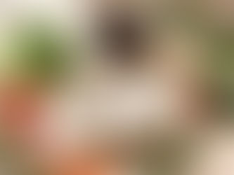 Difference Between Sugarcane Bagasse Tableware and Regular Paper Tableware