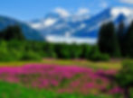 ALASKA