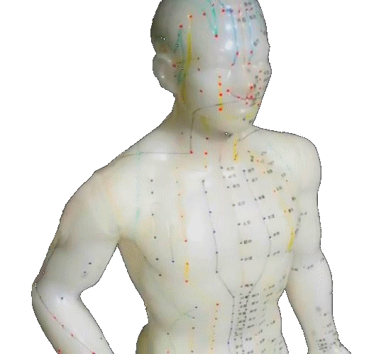 72cjy-statue_meridiens2.gif