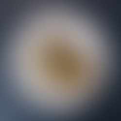 WEISSER SPARGEL AUS DEM OFEN