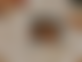 GEBACKENER BRIE MIT HEIDELBEER & WALNUSS