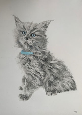 Albus