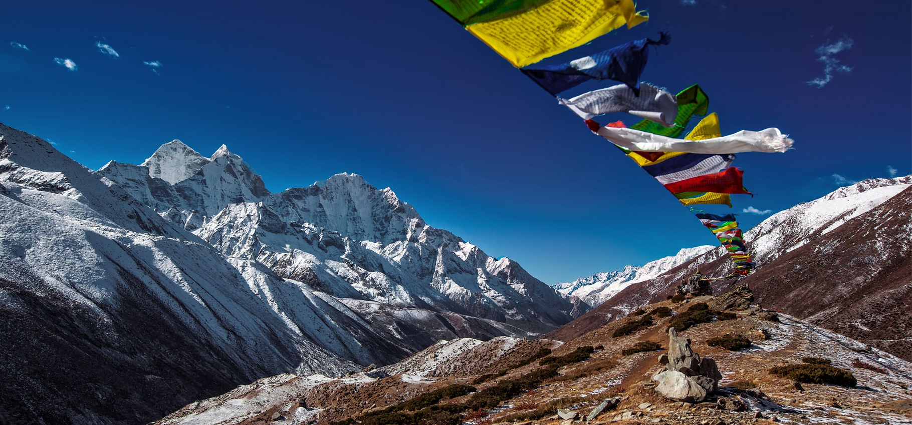 Untitled design (8).png