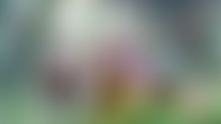 Live2D Animation Art Engine