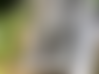 暑中お見舞い申し上げます