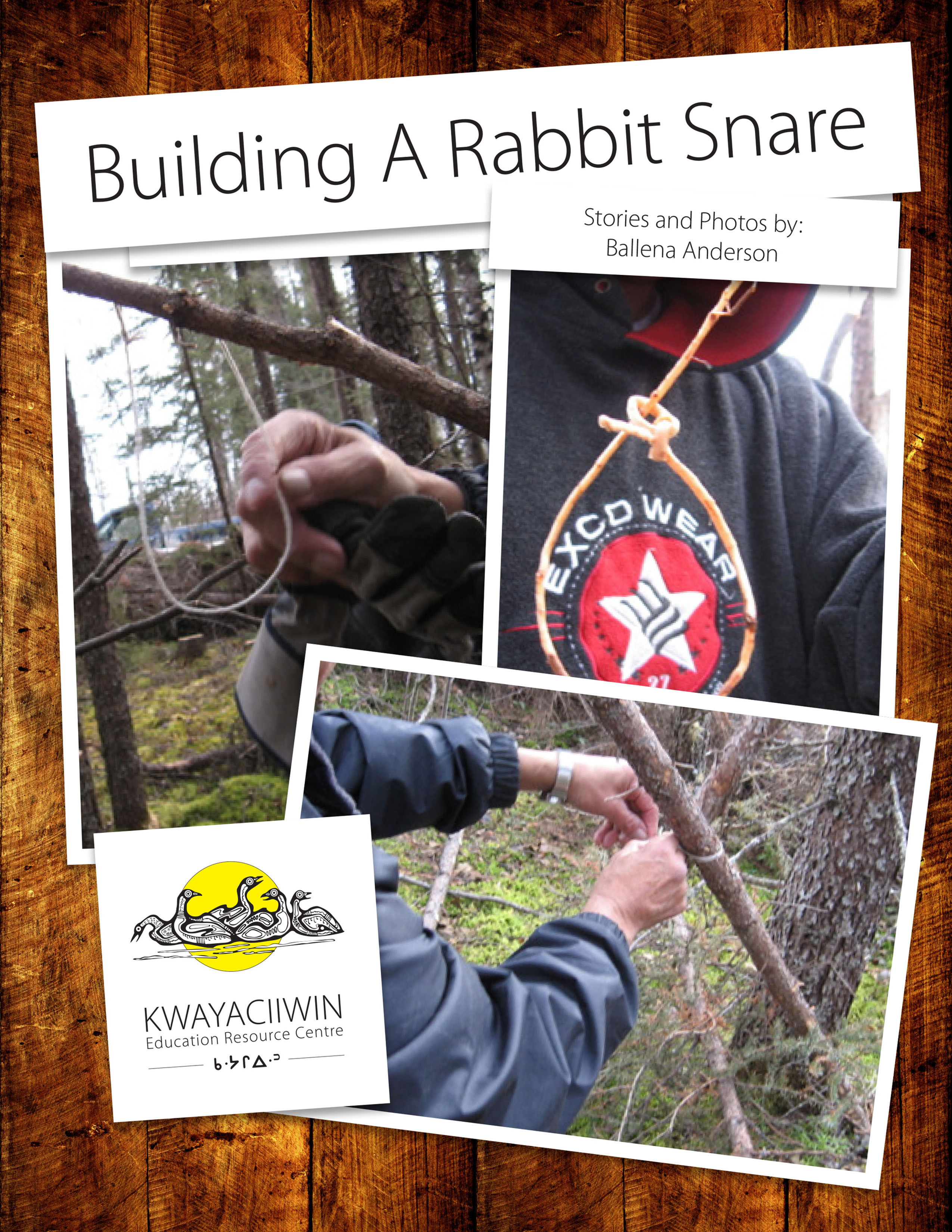 Building A Rabbit Snare