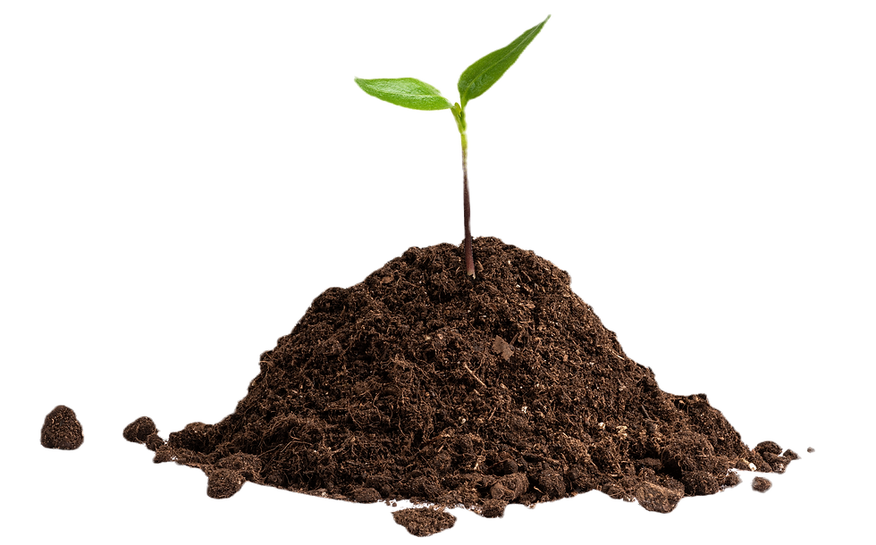 AdobeStock_578726614_edited.png