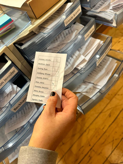 Ballot example in STV (Single Transferable Vote) simulator