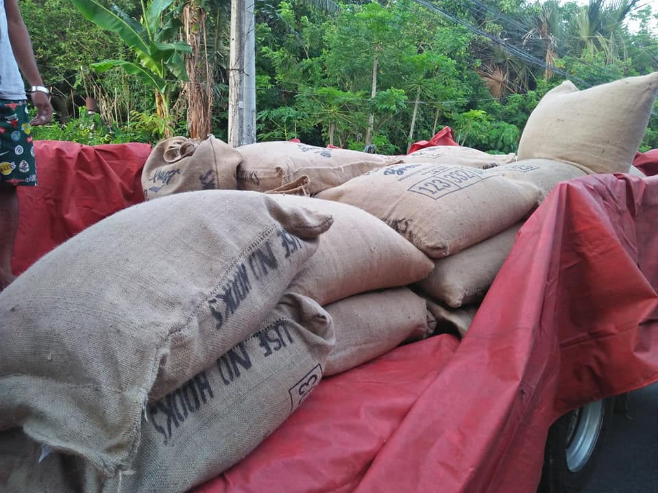 Thumbnail: Philippines Liberica Green Coffee Beans. Batangas. Co-op grown