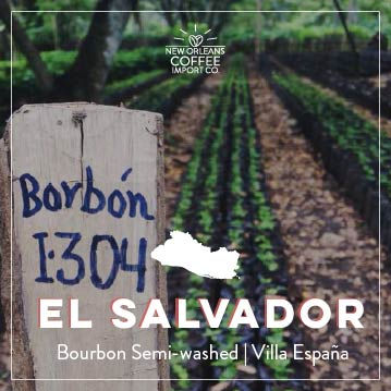 Thumbnail: El Salvador Bourbon Semi-Washed Green Coffee Beans. Mena Family, Villa Espana