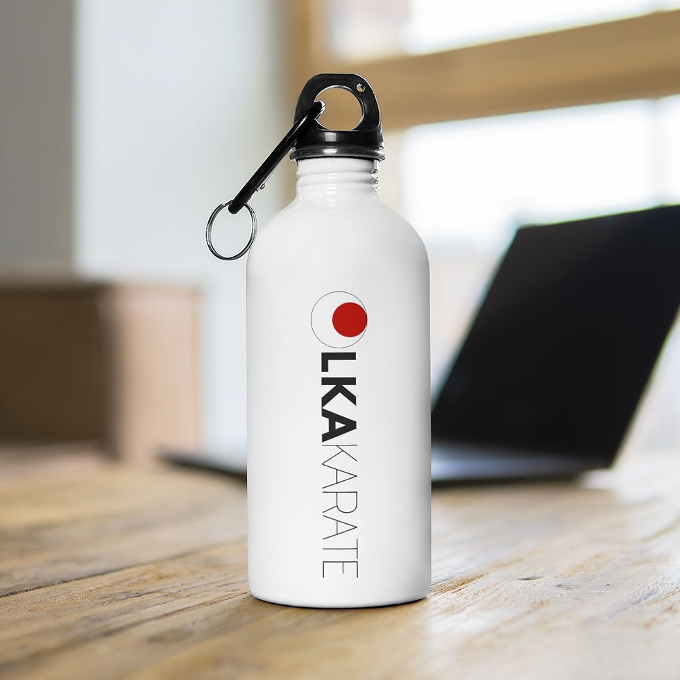 Thumbnail: Stainless Steel Water Bottle 14 oz