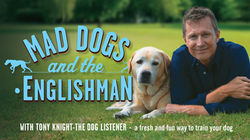 Mad Dogs and the Englishman