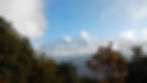 DSCN7099.jpg