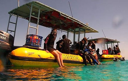 new beginnings_marine program practical