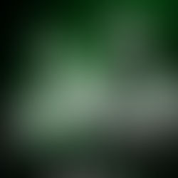 FC Torpedo Kutaisi | UEFA Conference League