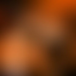 FC Sheriff | Europa League