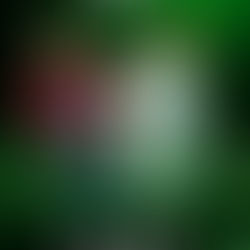 FC Tobol | Conference League play off round