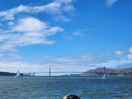 Delayed Flights, Disappearing Friends & Midnight McMysteries — Our Wild Arrival in San Francisco