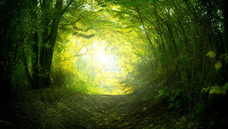 Understanding Psychodynamic Therapy: A Journey to Self-Discovery