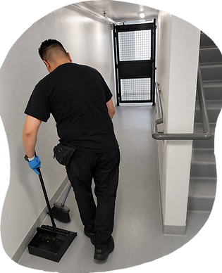 home services-Specialized Cleaning.png