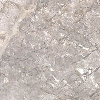 Grey stone paver with mottled veined finish with white flecks
