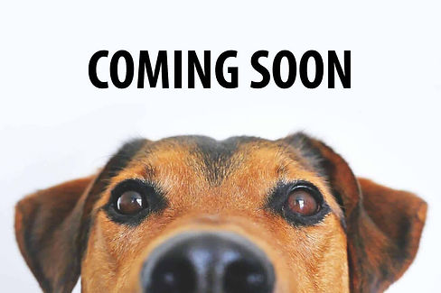 coming soon 