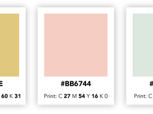 color palette for branding